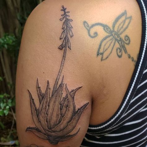 Aloe Vera Plant Tattoo, Aloe Tattoo, Aloe Vera Tattoo, Az Tattoo, Orlando Tattoo, California Tattoo, Stomach Tattoo, Ideas For Tattoos, Sister Tattoo