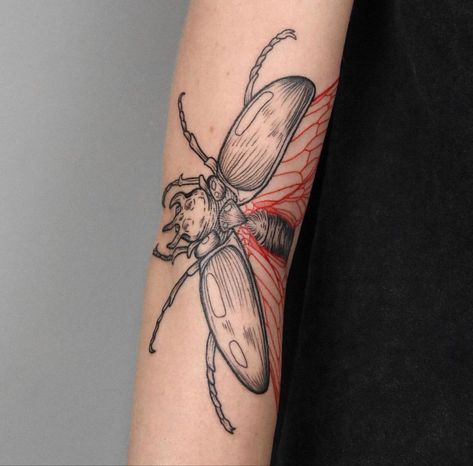 When your arm is extended out you see the inside part of the wings and body, when your arm is closed or folded, it only shows the outer shell. Absolutely amazing & beautiful! Moth Inner Elbow Tattoo, Folding Beetle Tattoo, Folding Moth Tattoo, Folding Tattoo Knee, Knee Fold Tattoo, Bug Elbow Tattoo, Elbow Beetle Tattoo, Elbow Bug Tattoo, Bug Arm Tattoo