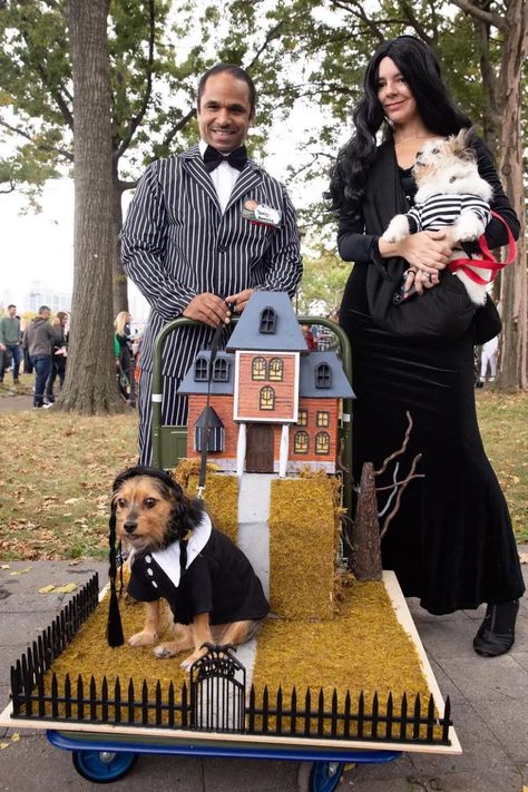 13 Things I Found on the Internet Today (Vol. DLXXIV) Dog Parade, Halloween Dogs, Pet Parade, Christmas Parade, Woody Toy Story, Halloween Dog, Dog Halloween Costumes, Dog Costumes, Dog Costume