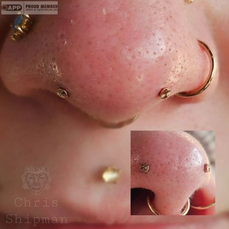 Chris Shipman | Here's another piercing that I get to check off the bucket list. This was my first time ever getting to do these Mantis piercings (forward… | Instagram Mantis Piercing, Septum Stack, Piercing Inspo, Face Piercings, The Bucket List, Body Piercings, Eye Makeup Art, Nose Piercing, Makeup Art