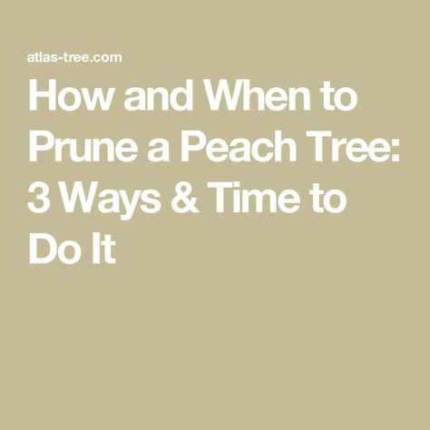 How and When to Prune a Peach Tree: 3 Ways & Time to Do It Pruning Peach Trees Tips, How To Plant A Peach Tree From A Pit, How To Prune A Peach Tree, Pruning Peach Trees, Contender Peach Tree, Stump Removal, Pruning Tools, City Tree, Fruit Bearing Trees