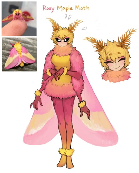 Rosy Maple Moth! | Gijinka / Moe Anthropomorphism | Know Your Meme How To Draw Fantasy Creatures, Moths As Humans, Human Butterfly Art, Moth Oc Art, Butterfly Character Design, Insect Oc, Moth People, Moth Oc, Bug People