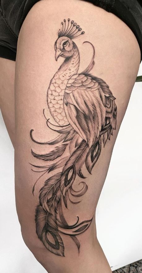 Peacock Tattoo Designs For Women, Peackok Tattoos, Free Tattoo Designs Printables, Pavo Real Tattoo, Peacock Tattoo Men, Peacock Tattoo Thigh, Peacock Fine Line Tattoo, Peacock Tattoo Back For Women, Peacock Thigh Tattoo For Women