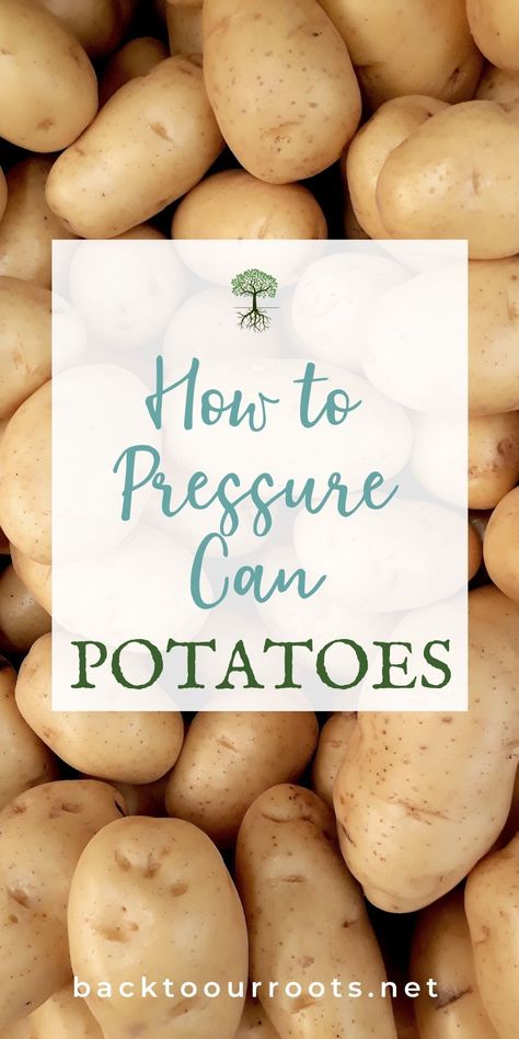 Pressure canned potatoes are a staple in my pantry. So many different uses that can be on the table quick! Can a batch today! Canning Potatoes, Water Bath Canning Recipes, Vegetarian Bowls, Easy Canning, Canned Potatoes, Pressure Canning Recipes, Raw Potato, Loaded Baked Potato Soup, Canning Vegetables