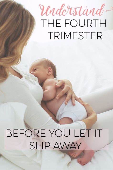 Understanding the fourth trimester Newborn Stages Of Development, The Fourth Trimester, Postpartum Struggles, Labour Tips, Postpartum Hacks, Baby Reference, Life With A Newborn, Postpartum Tips, Newborn Stage