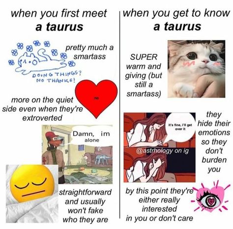 Taurus Signs, Taurus Memes, Taurus Zodiac Facts, Taurus Quotes, Astrology Taurus, Horoscope Taurus, Zodiac Sign Traits, Aquarius Pisces, Sagittarius Capricorn