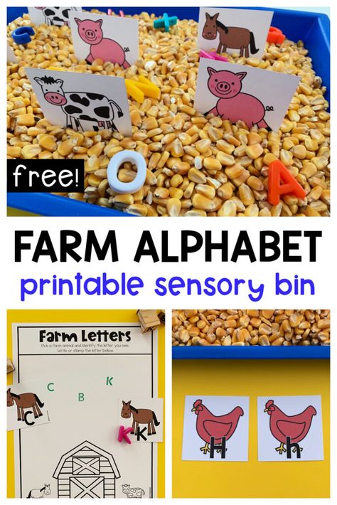 Build A Farm Preschool, Farm Writing Preschool, Farm Letter Activities Preschool, Farm Sensory Table, Farm Literacy Activities, Farm Math Activities Preschool, Farm Animal Sensory Bin, Farm Preschool Activities, Farm Sensory Bin