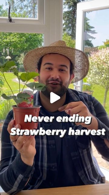 JoesGarden on Instagram: "Today we are back and I am showing you how to grow an almost unlimited supply of fresh summer strawberries, all from just one original strawberry plant.   📣 Announcement: I have included lots more tips and tricks about gardening, nature, preserving, wildlife and cooking in my brand new book Garden To Save The World 😊 to secure your copy please follow the link in my bio 💚🌱 thank you 🙏  Strawberries and many other fruits, vegetables, herbs and flowers can easily be propagated into lots of other free plants. One cheap strawberry plant can easily send out enough runners to make 5 or more new plants.   Propagating plants is so much fun, super easy and can save you a fortune! It is worth noting, if you are not trying to produce more strawberry plants, simply remove Strawberry Planting Tips, Best Way To Plant Strawberries, Strawberry Plants Growing, How To Grow Strawberries In A Pot, Strawberry Growing Ideas, Strawberry Garden Ideas, How To Plant Strawberries, Planting Strawberries, Strawberry Planting