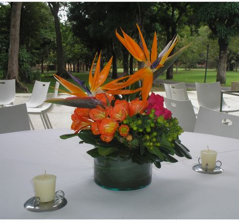 Las flores exoticas son una de las opciones para las bodas campestres. Centro de mesa en aves del paraíso,amarillis, rosas fucsias e hipericum preciosamente diseñado. Bird Of Paradise Wedding, Tropical Wedding Centerpieces, Roka Ceremony, Barbie Bebe, Tropical Centerpieces, Gala Decorations, Tropical Showers, Summer Flower Arrangements, Tropical Flower Arrangements