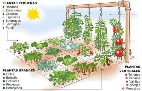 Eco Garden, Veg Garden, Roof Garden, Little Garden, Green Garden, Veggie Garden, Green Life, Edible Garden, Kitchen Garden