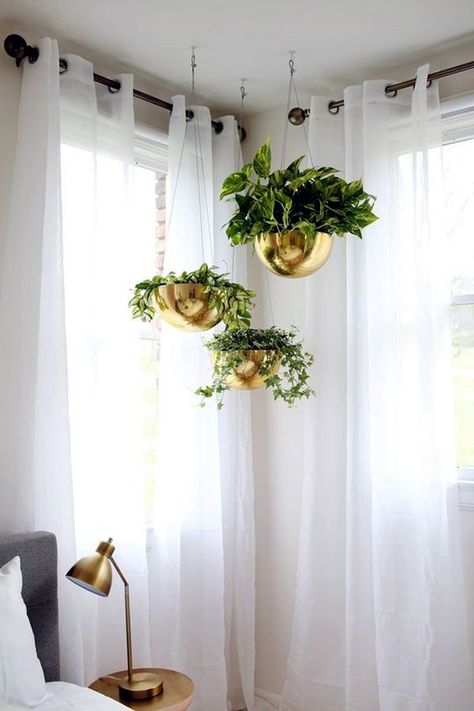 These gold hanging pots are gorgeous!                                                                                                                                                                                 More Succulent Party, Indoor Plant Display, Plant Display Ideas, Diy Hanging Planter, Trendy Plants, Smart Tiles, Hanging Plants Indoor, Diy Hanging, Hanging Pots