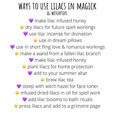 Tips for Witches Everywhere! ✨ on Instagram: “Some ways on how to incorporate lilacs into your witchcraft. Drop below other ideas on how you use lilacs in your craft or lifestyle! 💜 or,…” Lilac Magical Properties, Home Protection Witchcraft, Weather Magick, Magickal Plants, Witchy Business, Witchy Tips, Spells For Beginners, New Moon Rituals, Witch Stuff