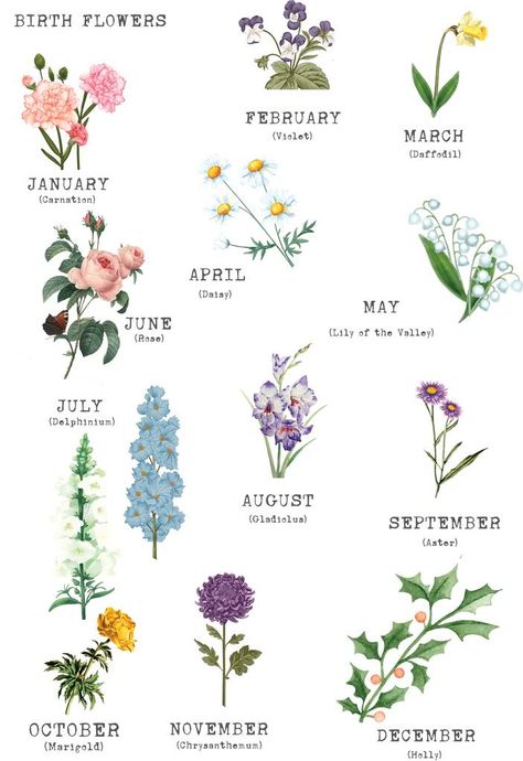 Birth Flower Tattoos, Flower Meanings, Dainty Tattoos, Flower Names, Language Of Flowers, Month Flowers, Birth Month Flowers, Nursery Signs, Watercolor Flower