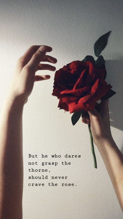 Quotes About Roses Beauty, Red Rose Quotes Love, Rose Poems Quotes Beautiful, Red Rose Captions For Instagram, Marriage Inspirational Quotes, Red Roses Quotes Beauty, Rose Quotes Aesthetic, Rose Quotes Poetry, Rose Quotes Inspirational Short