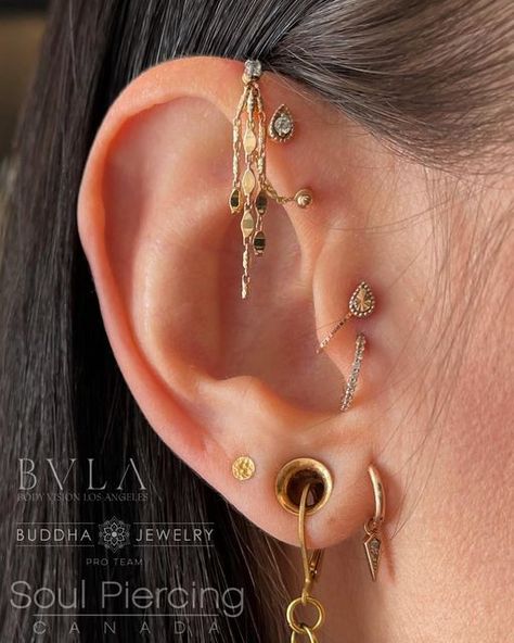 Earrings With Gauges, Stretch Lobe Piercing, Pre Lobe Piercing, Piercings With Chains, Traverse Lobe Piercing, Lower Lobe Piercing, Gold Ear Gauges, Forward Helix Chain, Pretty Jewellery Earrings