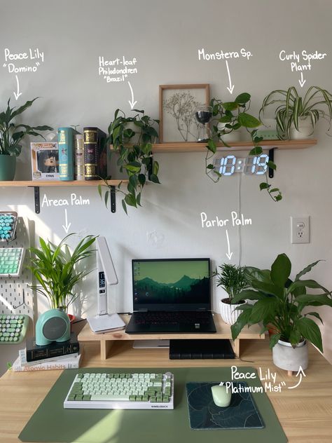 Dorm Desk Plants, Brown Wood Desk Decor, Small Desk Area Organization, Desk Decor Plants, Desk Ideas Plants, Earth Tone Desk, Save Green Bedroom Aesthetic, Desk Shelving Ideas, Desk Green Aesthetic