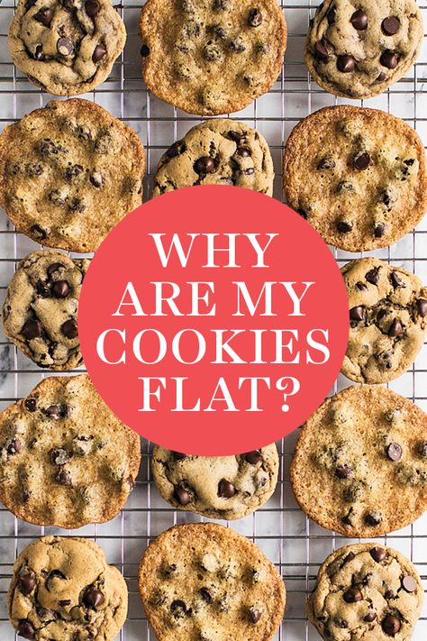 Flat Cookies, Best Soft Chocolate Chip Cookies, Fluffy Chocolate Chip Cookies, Ultimate Cookie Recipe, Thick Cookies, Make Chocolate Chip Cookies, Soft Chocolate Chip Cookies, Cookie Recipes Homemade, Baking Basics