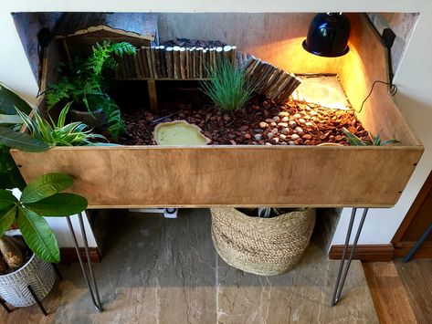 Tortoise Cage Ideas Indoor, Raised Garden Bed For Tortoise, Greek Tortoise Habitat Indoor, Indoor Tortoise Habitat, Leopard Tortoise Habitat Indoor, Tortoise Table Ideas, Tortoise Terrarium Indoor, Baby Tortoise Habitat Indoor, Box Turtle Habitat Indoor Diy