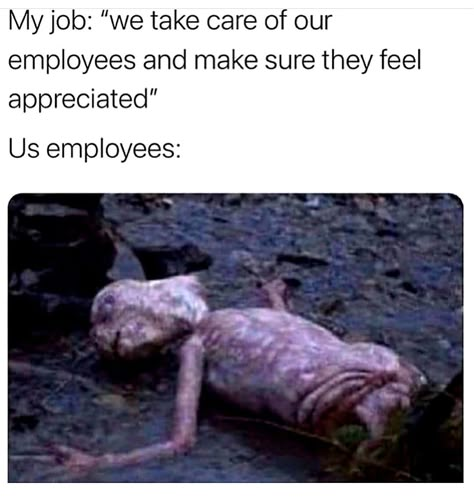 Job Humor, Workplace Humor, Work Quotes Funny, Work Jokes, Medical Humor, Office Humor, Funniest Memes, Work Memes, Nurse Humor