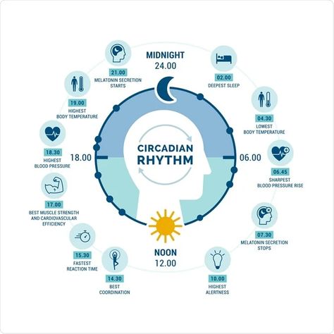 Cycle Tracking, Sleep Phases, Ayurveda Life, Body Clock, Too Much Estrogen, Workout Nutrition, How To Regulate Hormones, Ayurvedic Healing, Sleep Hygiene