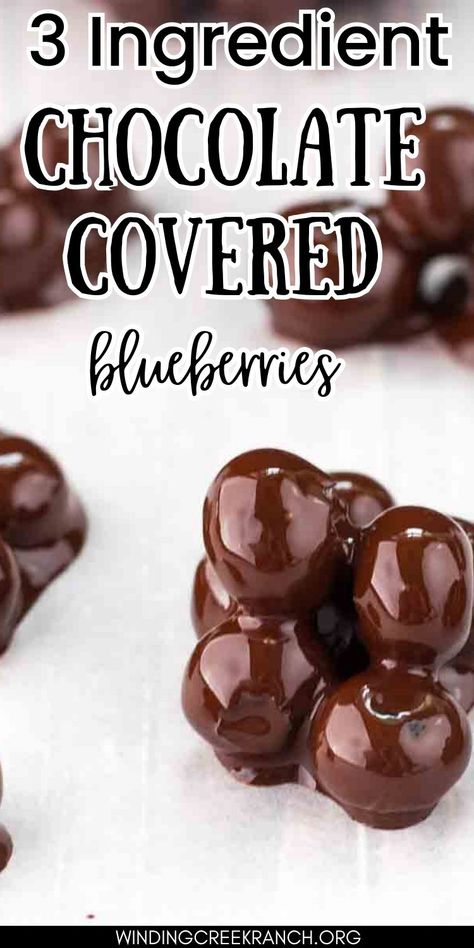 These easy Chocolate Covered Blueberries are the perfect snack if you are craving something sweet and fruity! Juicy blueberries are dipped in irresistible dark chocolate to make the perfect treat - made with just three ingredients! Dark Chocolate Blueberries, Dark Chocolate And Fruit Healthy Snacks, Chocolate Blueberry Clusters, Blueberry Truffles Recipe, Healthy Chocolate Covered Fruit, Chocolate Covered Blueberries Homemade, Dark Chocolate Covered Blueberries, Chocolate Covered Berries, Chocolate Blueberry Bark