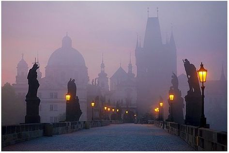 Prague Prague Charles Bridge, Prague Travel, Charles Bridge, Street Lights, Prague Czech Republic, Prague Czech, Ulsan, The Fog, A Bridge