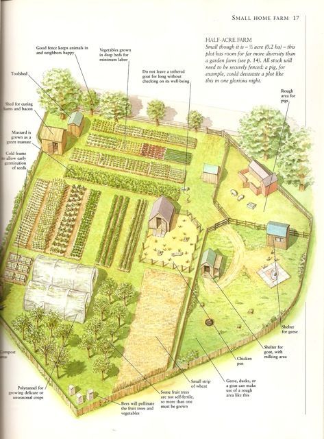 A Half-Acre Farm- a page from my favorite book, Country Life: A Handbook for Realists and Dreamers by Paul Heiney Urban Homesteading, Homestead Layout, Farm Plans, Farm Layout, Homestead Farm, Future Farms, Mini Farm, Living Off The Land, Have Inspiration