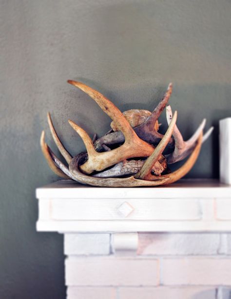 Antler decor on fireplace mantel Antlers Decor Diy, Antler Display Ideas, Deer Antler Wall Decor, Feathers Decor, Decorating With Antlers, Antler Display, Fireplace Corner, Hirsch Silhouette, Savannah Style