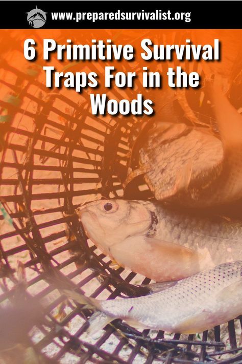 primitive survival traps - take a look and learn these 6 primitive survival traps. In the old days people used these primitive survival traps with success and they still work today. Survival Traps, Bushcraft Tools, Bushcraft Kit, Primitive Survival, Bushcraft Knives, Old Days, The Old Days, Work Today, Bushcraft