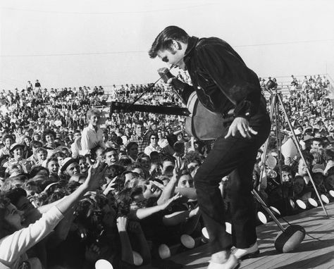 Elvis Presley Live, Elvis Presley Posters, Elvis Presley Wallpaper, Elvis Wallpaper, Tupelo Mississippi, Suspicious Minds, Young Elvis, Joseph Jackson, King Of Pop