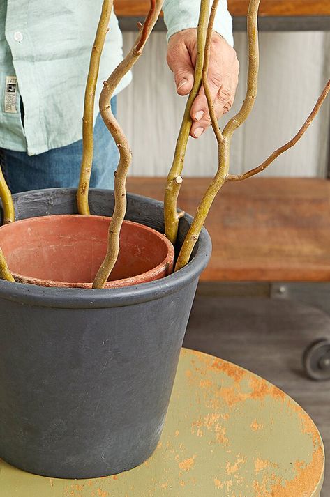 Indoor Plants Styling Boho, Willow Trellis Diy, Potted Plant Ideas Outdoor, Curly Willow Branches Decor, Diy Wire Plant Trellis Indoor, Flower Pot Arrangements Outdoor, Diy Willow Tree, Climbing Plants In Pots, Chair Planter Ideas