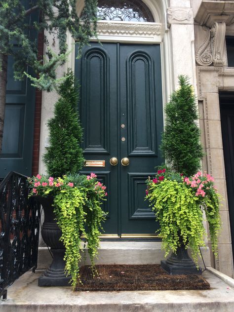 Topiary garden