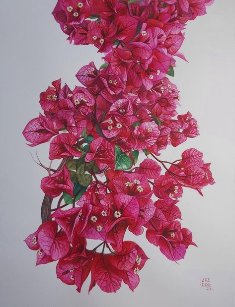 Buganvilla Painting, Bougainvillea Illustration, Bougainvillea Art, Bougainvillea Painting, Wall Painting Techniques, Flower Drawing Tutorials, Watercolor Flower Art, Watercolor Painting Techniques, Watercolor Art Lessons