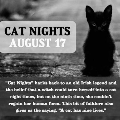 Pin by Alma Pari-Passu on Black (Beauty) Cats (=^~^=) in 2022 | Cat spirit, Cat spirit animal, Cat facts Black Cat Witchcraft, Cats And Witchcraft, Facts About Black Cats, Cat Symbolism, Cat Spirit Animal, Celtic Cats, Cat Spirit, Wiccan Magic, Magic Spell Book