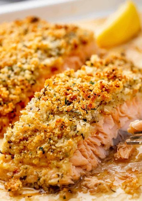 Baked Parmesan Salmon Recipes, Parmesan Garlic Salmon, Salmon With Parmesan Cheese, Parmesan Crusted Salmon With Mayo, Parmasean Crusted Salmon Recipes, Herb Crusted Salmon Recipes, Salmon Recipes Panko Crusted, Lemon Crusted Salmon, Park Crusted Salmon