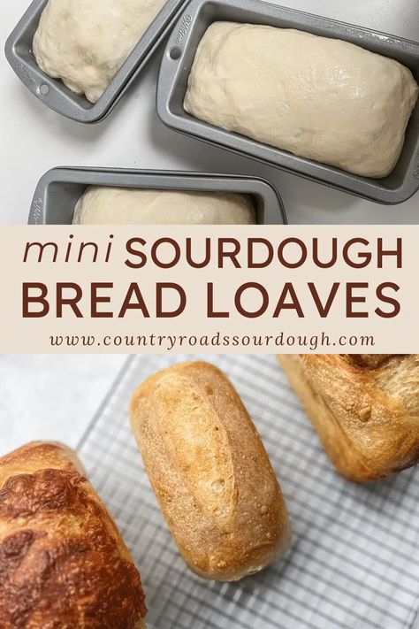 Mini Sourdough Bread Loaves Sourdough Bread Loaves, Small Sourdough Bread, Mini Artisan Bread Loaves, Small Batch Sourdough Rolls, Holiday Breads Mini Loaves, Double Batch Sourdough Bread, Sourdough Poppy Seed Bread, Easy Small Loaf Bread Recipes, Mini Bread Loaves Recipes Savory