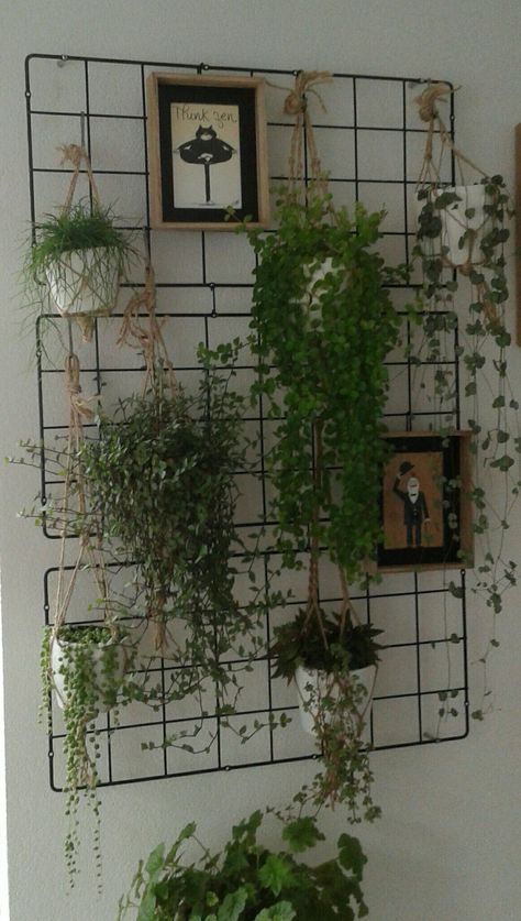 Wall Basket Plant Decor, Bedroom Wall Plant Decor, Plant Wall Collage, Plant Grid Wall, Small Plant Wall, Green Wall Plants Indoor, Hanging Fake Plants Indoor, Fake Wall Plants, Decorate With Plants Indoors