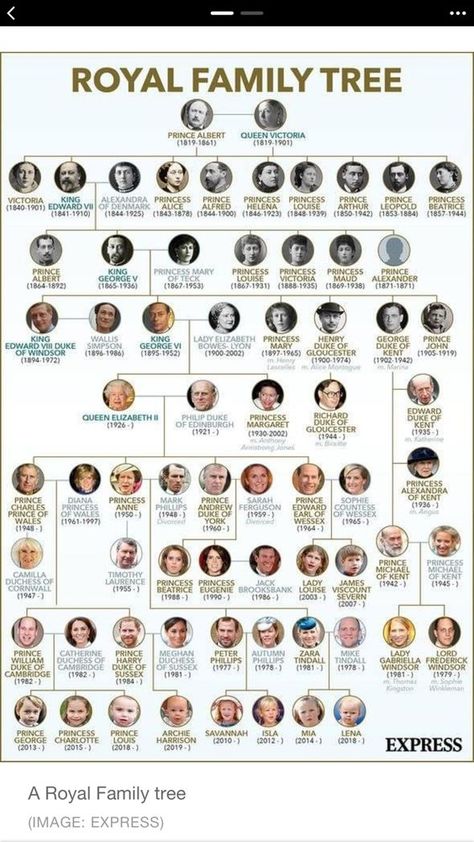 Royal Family Tree, British Royal Family Tree, Royal Family History, Queen Elizabeth Photos, Royal Family Trees, Royal Family Pictures, Scottish Ancestry, Knots Guide, English Royal Family