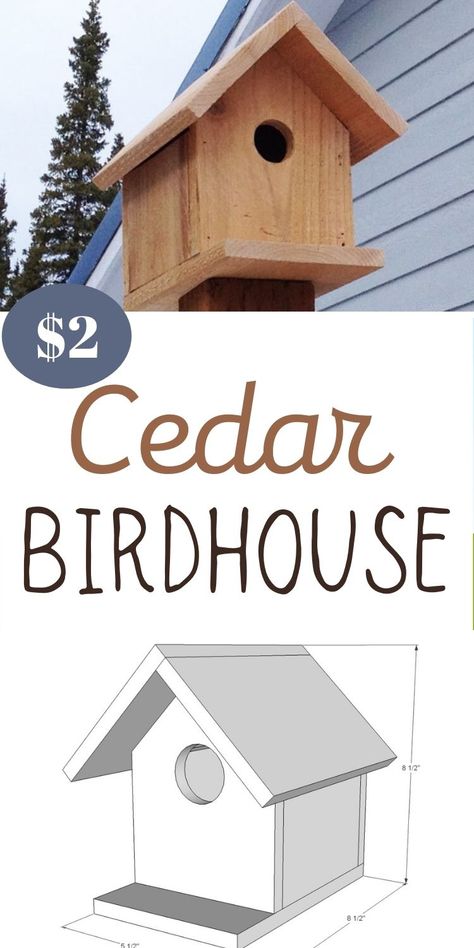 Birdhouse Plans, Bird House Plans Free, Diy Birdhouse, Cedar Fence Pickets, Birdhouse Projects, Modern Birdhouses, Sand Projects, Fence Picket, Retail Ideas