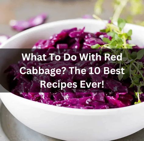 What to do with red cabbage? The 10 best recipes ever! Sweet Red Cabbage Recipes, Red Cabbage Cooked Recipes, Red And Green Cabbage Salad, Canned Red Cabbage Recipes, Red Cabbage And Sweet Potato Recipes, Recipes With Red Cabbage Meals, Red Cabbage And Sausage Recipes, Red Cabbage Meals, Meals With Red Cabbage