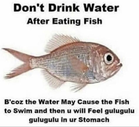 Fish Meme, Eating Fish, Silly Images, Really Funny Pictures, The Fish, What’s Going On, Animal Memes, Funny Laugh, Popular Memes