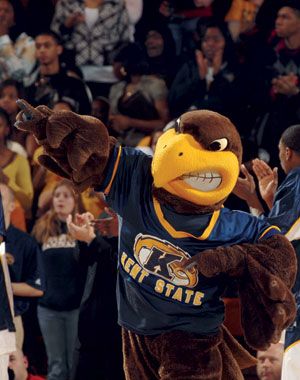 Golden Flash- Kent State University Eagle Costume, Brown Eagle, Kent Ohio, University Aesthetic, Ohio Girls, Eagle Mascot, Kent State University, Black Owl, Kent State