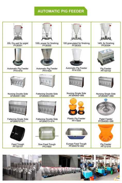 LEVAH -automatic pig feeder, automatic dry wet pig feeder, automatic hog feeder, China factory Pig Feeding Ideas, Automatic Pig Feeder, Hog Feeder, Pig Feeder, Pig Waterer, Feed Trough, Pig Feed, Farm Shed, Pig House