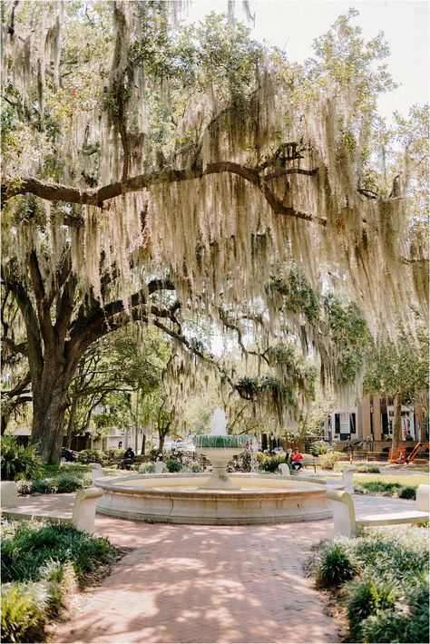 Savannah Astetic, Savannah Wedding Venues Small, Wedding In Savannah Georgia, Small Savannah Wedding, Coastal Georgia Wedding, Savannah Ga Wedding Venues, Savannah Wedding Photos, Savannah Georgia Engagement Pictures, Savannah Wedding Venues