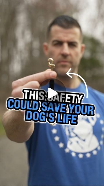 Dog Slip Lead, Dog Safety, Dog Leads, See Me, Dog Leash, Dog Life, The Dog, The List, Need This