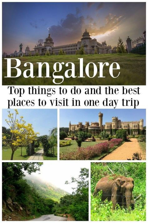 The ultimate list of places to visit in Bangalore in one day. A mix of nature, history, local food, traditional market and top things to do in Bangalore, India. Beautiful places to visit in Bangalore for family, friends, and couples. Tips to find the best places to stay in Bangalore and how to get there.  #Bangalore #India #Travel #Thingstodoin #hotelsinbangalore via @loveandroad India Beautiful Places, Cheap Places To Visit, Food Traditional, Bangalore City, India Travel Places, India Travel Guide, Vacation Locations, Traditional Market, Hampi