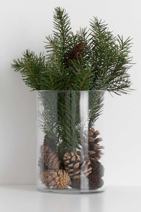 DIY Fresh Pine Centerpiece Pine Tree Branches Decor, Pine Tree Decoration Ideas, Christmas Tree Branch Centerpiece, Pine Tree Clippings Decor, Pine Cone Vase, Diy Pinecone Centerpiece, Christmas Pinecone Centerpieces, Pine Boughs Decorations Diy, Diy Pine Branch Decor