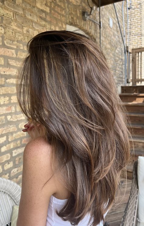 Brown Hair Highlights Aesthetic, Layers For Long Hair Brunette, Layers For Long Brown Hair, Medium Bronde Balayage, Brown Hair With Layers And Highlights, Long Layered Brown Hair With Highlights, Long Brunette Layers, Hair Inspo Brunette Highlights, Old Money Brunette Hair Highlights