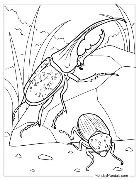 20 Beetle Coloring Pages (Free PDF Printables) Beetle Coloring Page, Insects Coloring Pages, Goliath Beetle, Hercules Beetle, Insect Coloring Pages, Bug Coloring Pages, Leaf Beetle, Leaf Coloring Page, Tiny Creatures