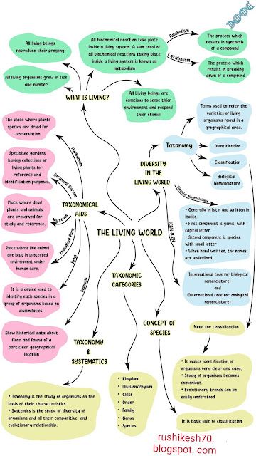 Cell Biology Notes, Biology Class 11, Neet Notes, Learn Biology, Study Biology, Physics Notes, Biology Facts, Neet Exam, Medical Student Study